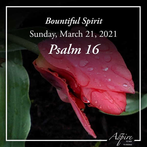Bountiful Spirit - March 21, 2021