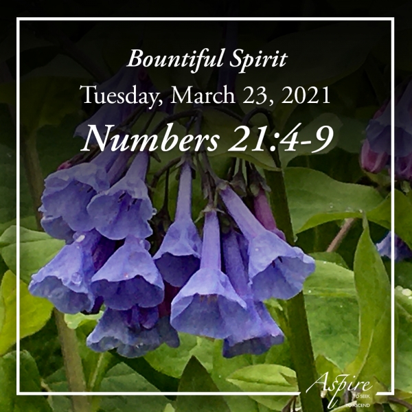 Bountiful Spirit - March 23, 2021