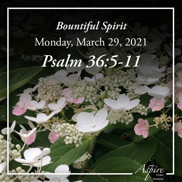 Bountiful Spirit - March 29, 2021