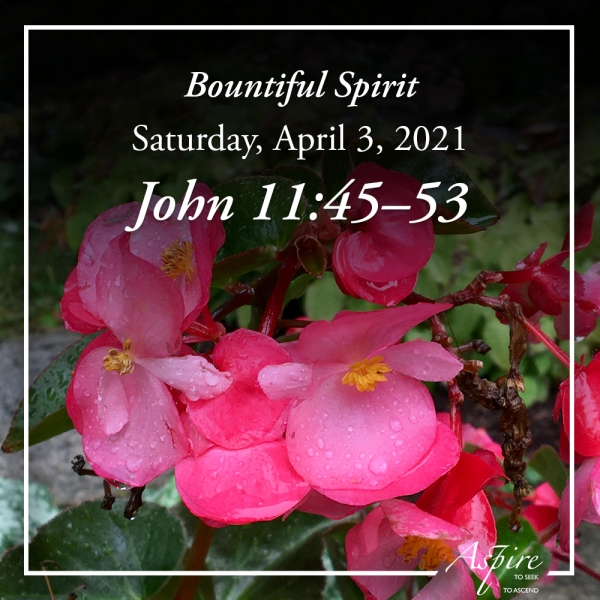 Bountiful Spirit -April 3, 2021