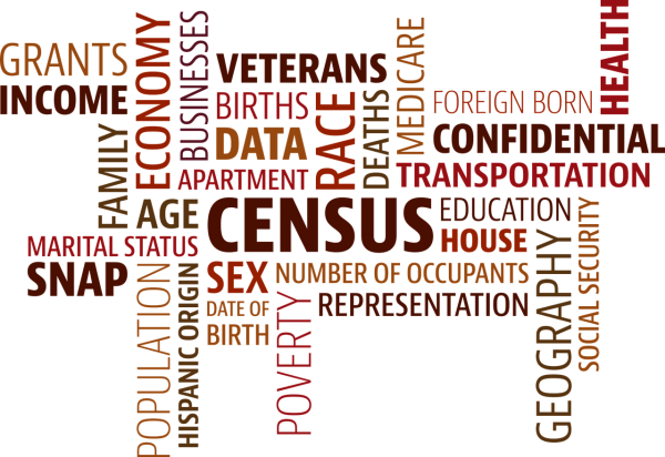 Making Sense of the Census